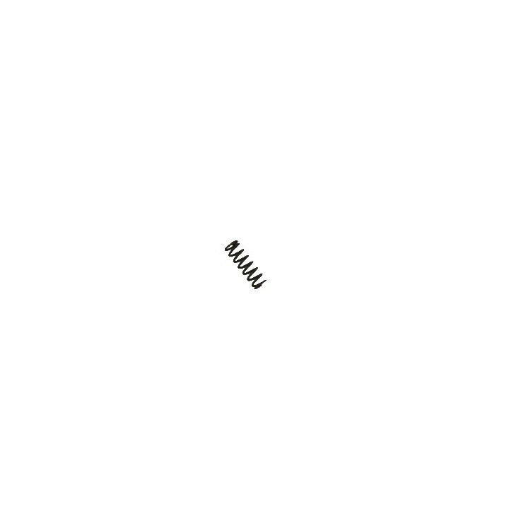 15564 CZ75D Rear Sight Spring 2-06