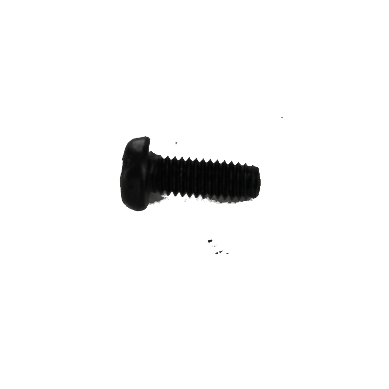 17398 ASG 10 Screw