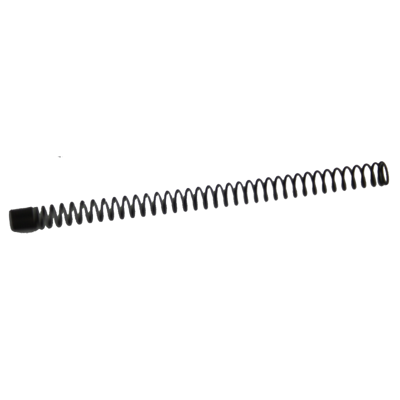 17398 ASG 13 Spring