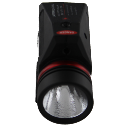 Flashlight with laser