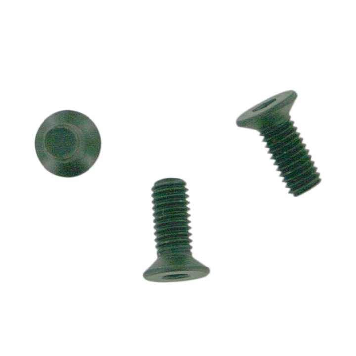 Body screw BE68_55 
