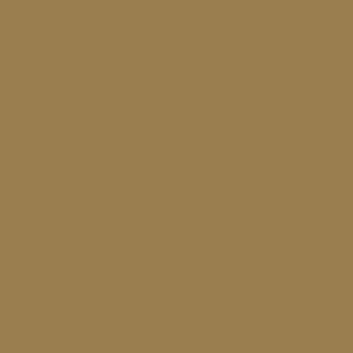 Spray Paint Military WK Khaki Tropen - Spray Aerosol FOSCO 400ml