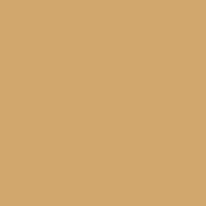 peinture camouflage aérosol mate BROWN BEIGE