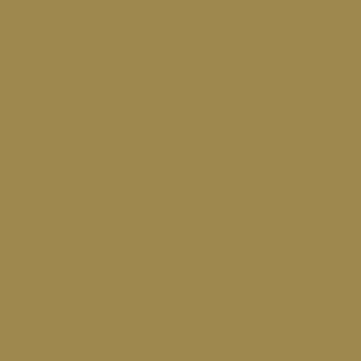 peinture fosco camouflage authentique FLECKTARN GRUN