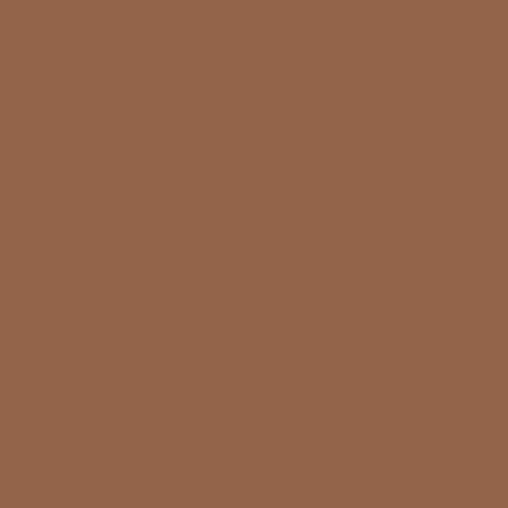 Fosco matte military spray paint - 400ml FLECKTARN BRAUN