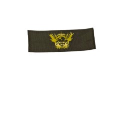 Patch BlacK Eagle (Vert)