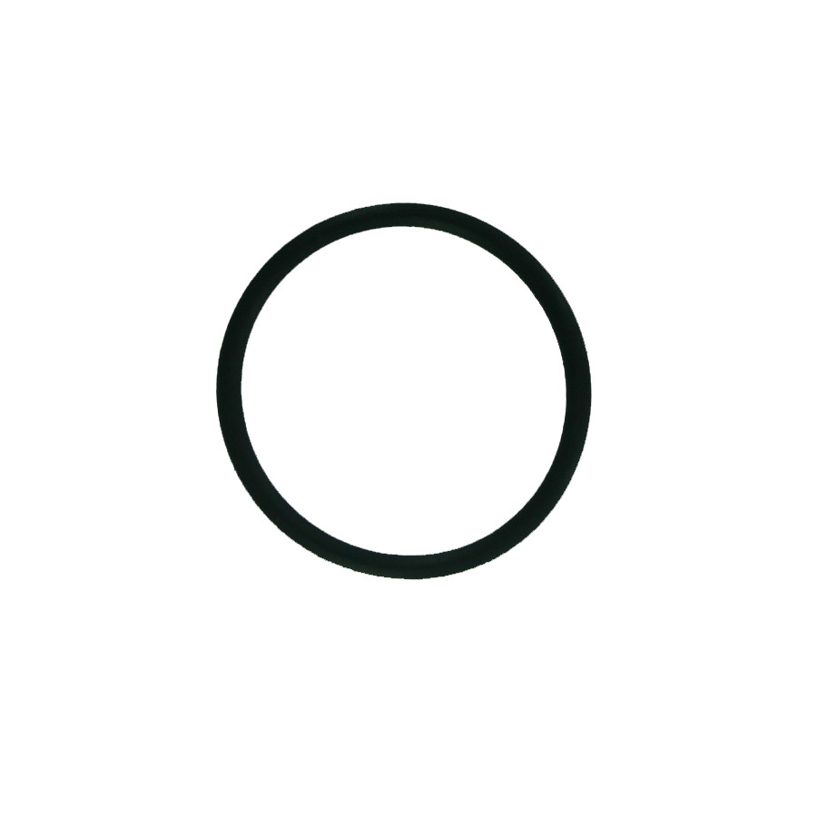 Air Chamber-OD O-Ring ORNG 020-B70 Tiberius 