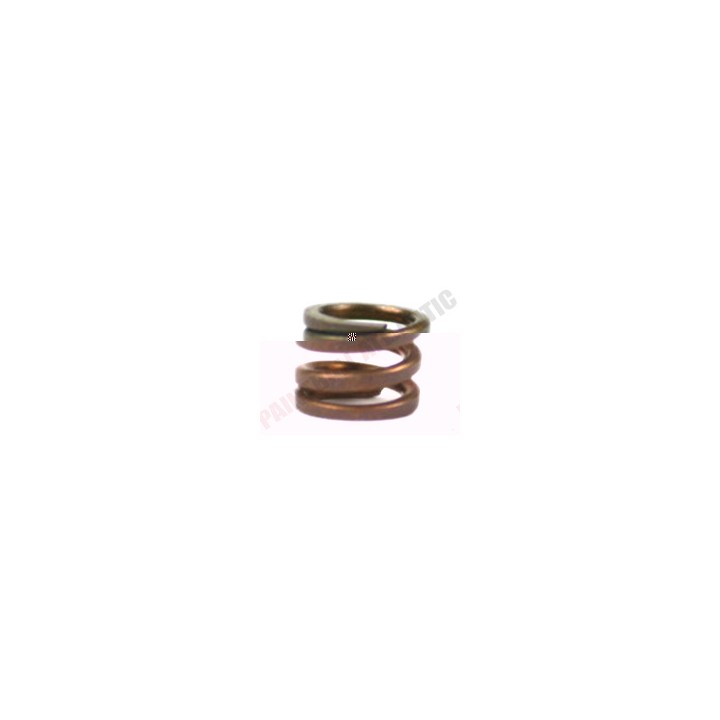 Petite Durite solenoide ION 