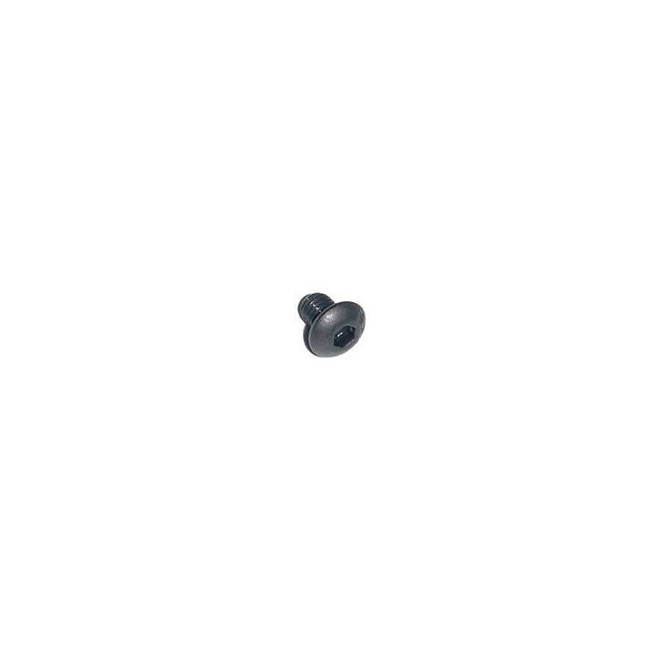 Valve Screw BT30 