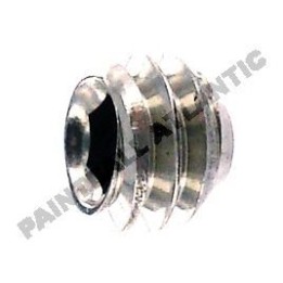 Vis de Cap Set Regulateur INV55
