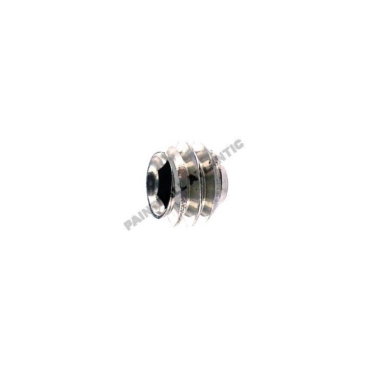 Vis de Cap Set Regulateur INV55