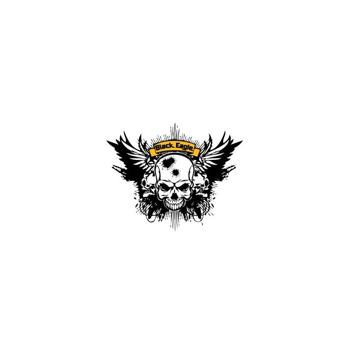 Le Régulateur Black Eagle Hurricane V2.0 3000 PSI HP 850 PSI